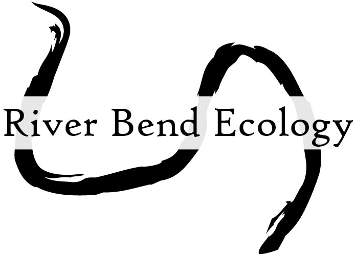 Rbe logo 2019 05 no border