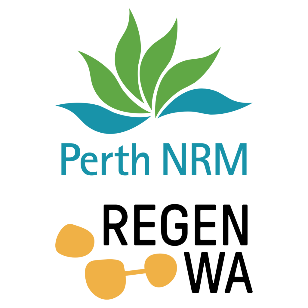 Pnrm regenwa vert rgb