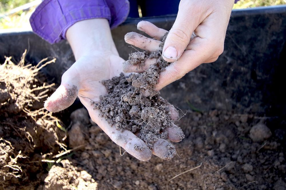 Rs34054 soil crumbs