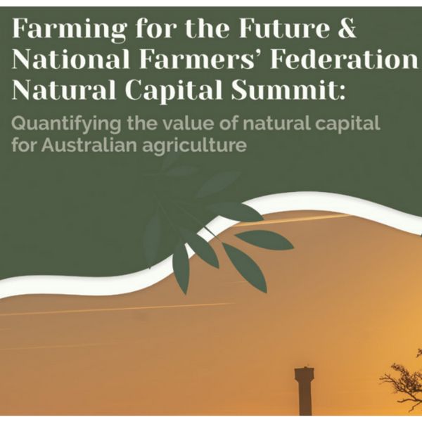 Natural Capital Summit Resources