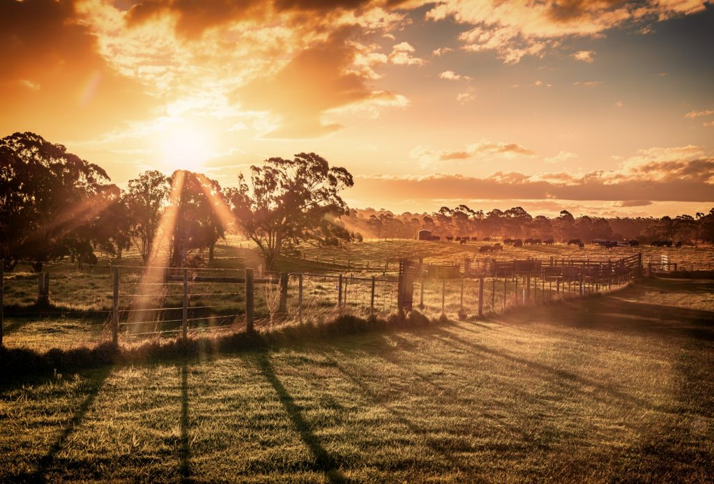 Landscape..
